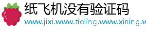 纸飞机没有验证码